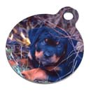 pet tag
